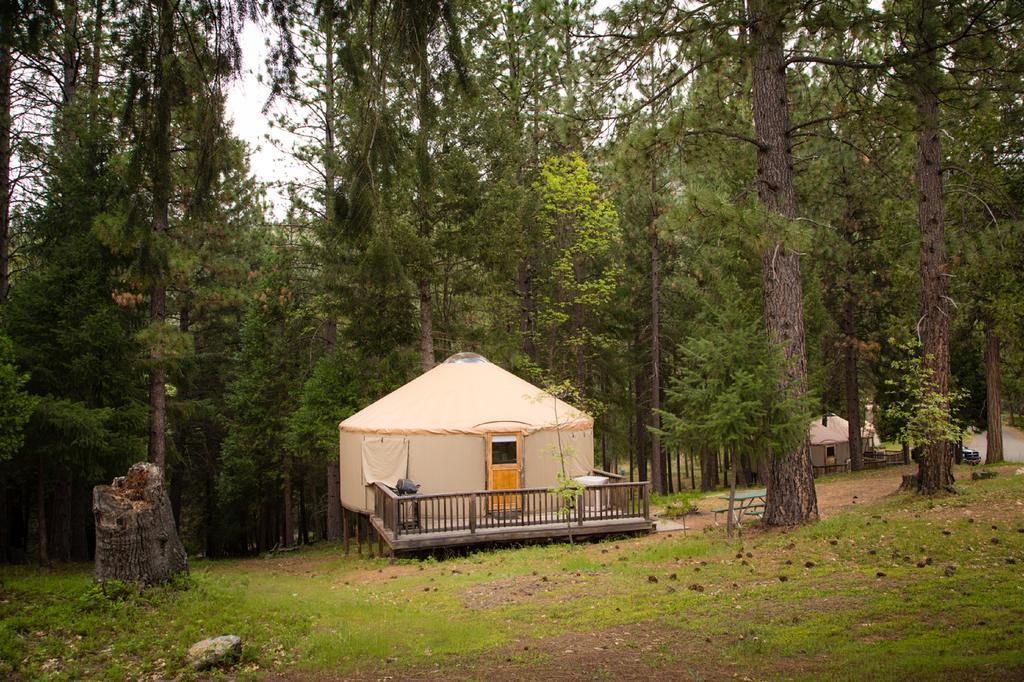 Yosemite Lakes Hillside Yurt 14 Harden Flat Exterior foto